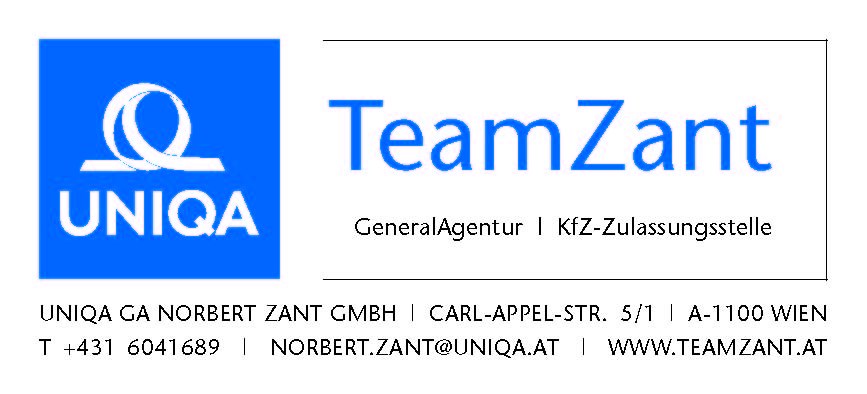 TeamZant Logoblock schwarz